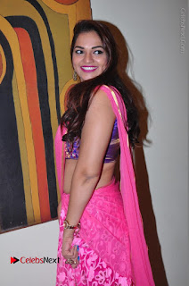 Telugu Actress Ashwini Stills in Pink Saree at Trendz Exhibition and Sale 2016  0032