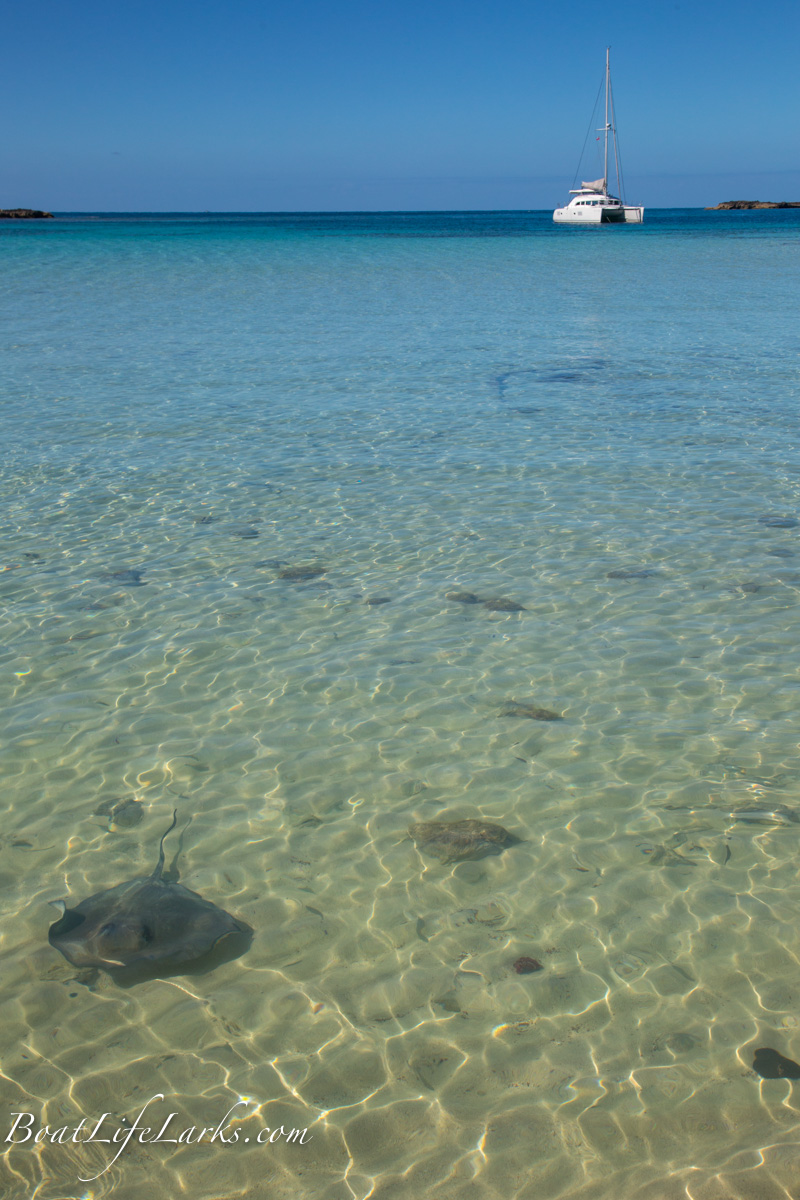 Sailing to Honeymoon Harbor, Bimini Islands Boat Life Larks SV Dulcinea