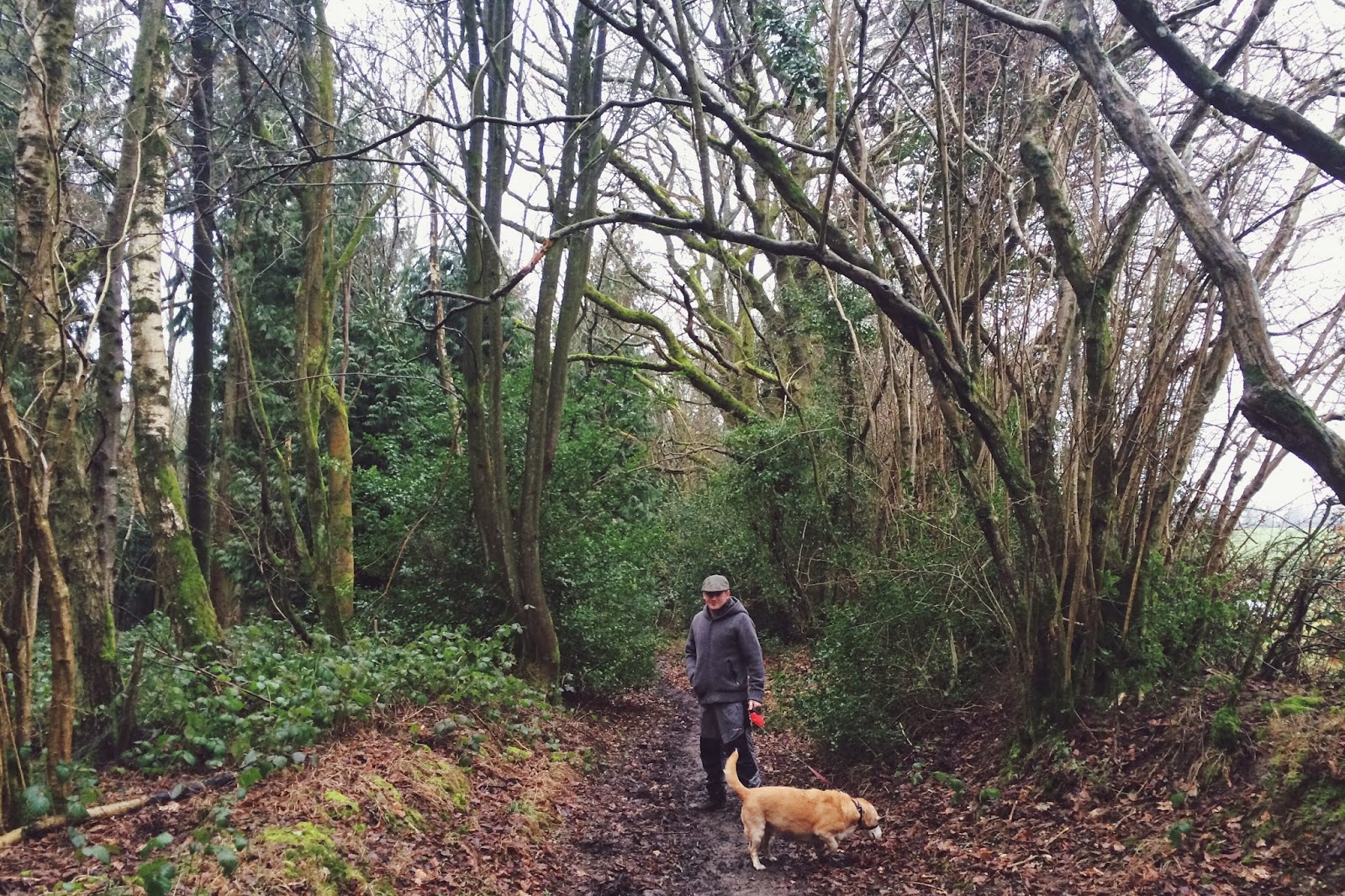 FashionFake, a UK fashion and lifestyle blog. Sundays are best spent relaxing and being cosy - and us country bumpkins love a long walk in the woods before a roast! Read about how we keep warm and happy whilst tough mudding in Hampshire.