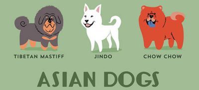 Gambar Ilustrasi Kartun Jenis Anjing Dunia Saung Dogie Menyorot Segi
