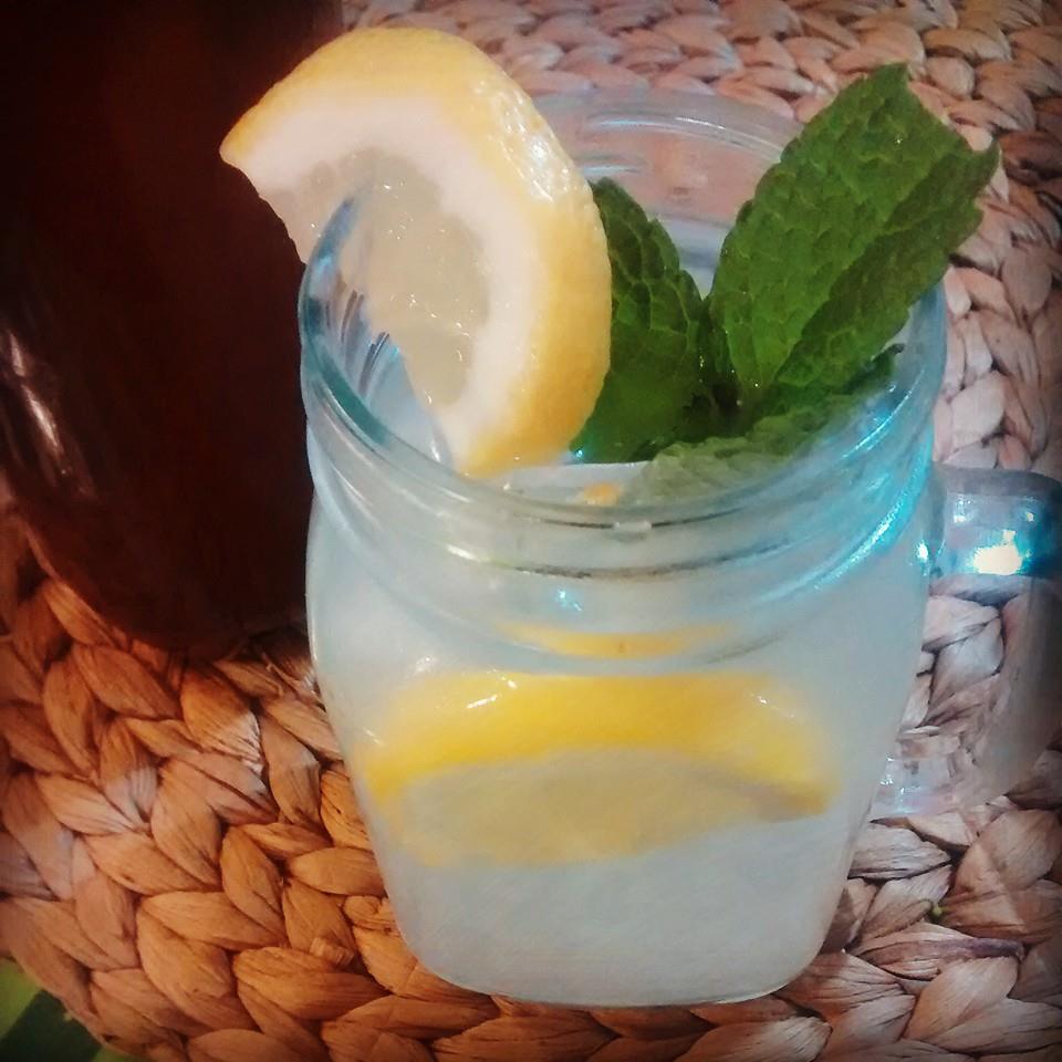 FOOD PRESERVING GINGER BUG & GINGER BEER