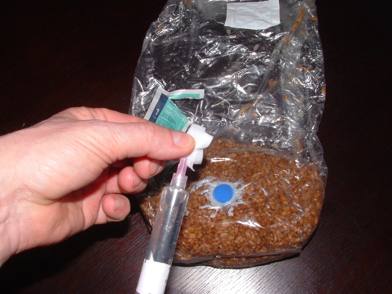 Sam Pedro's BAGTEK MUSHROOM GROWING KIT INSTRUCTIONS *NOW WITH