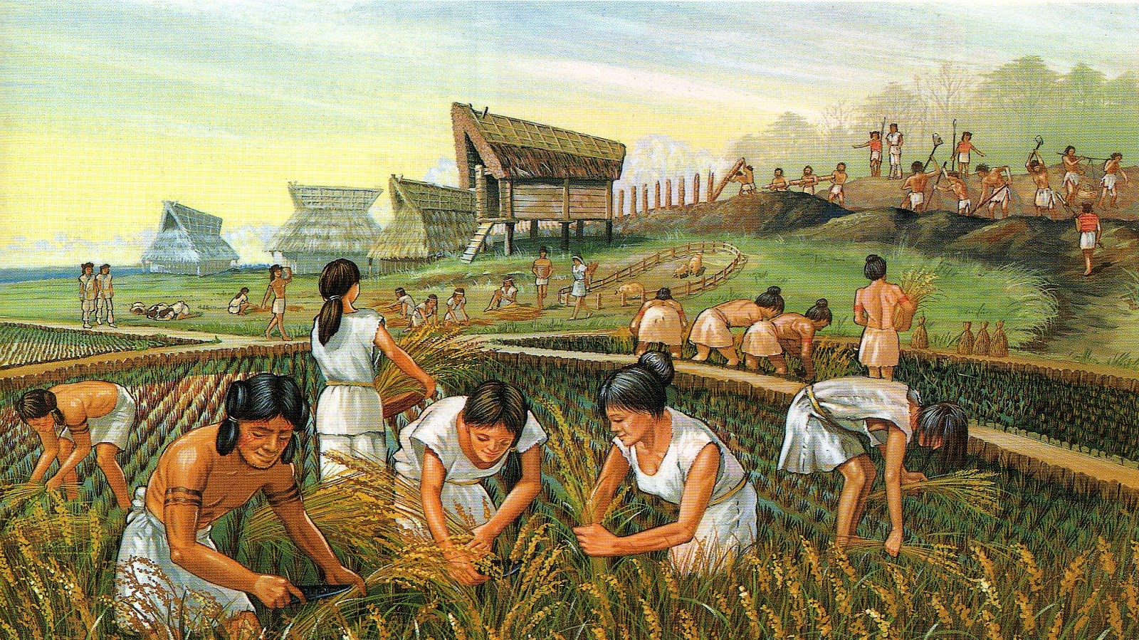 Kết quả hình ảnh cho cách mạng nông nghiệp