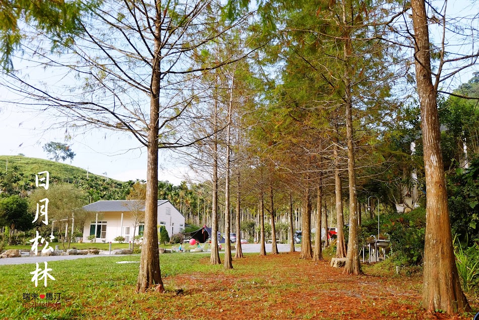 日月松林露營區