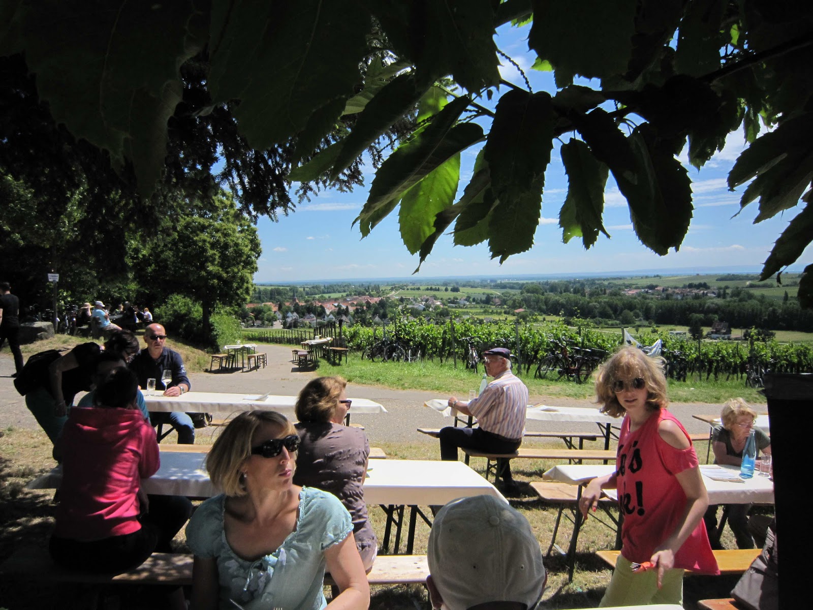 Auf Weintrauben High Resolution Stock Photography And Images Alamy