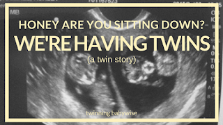 Text: Honey are you sitting down? We're Having Twins (a twin story); Picture: Sonogram of twins in different sacs