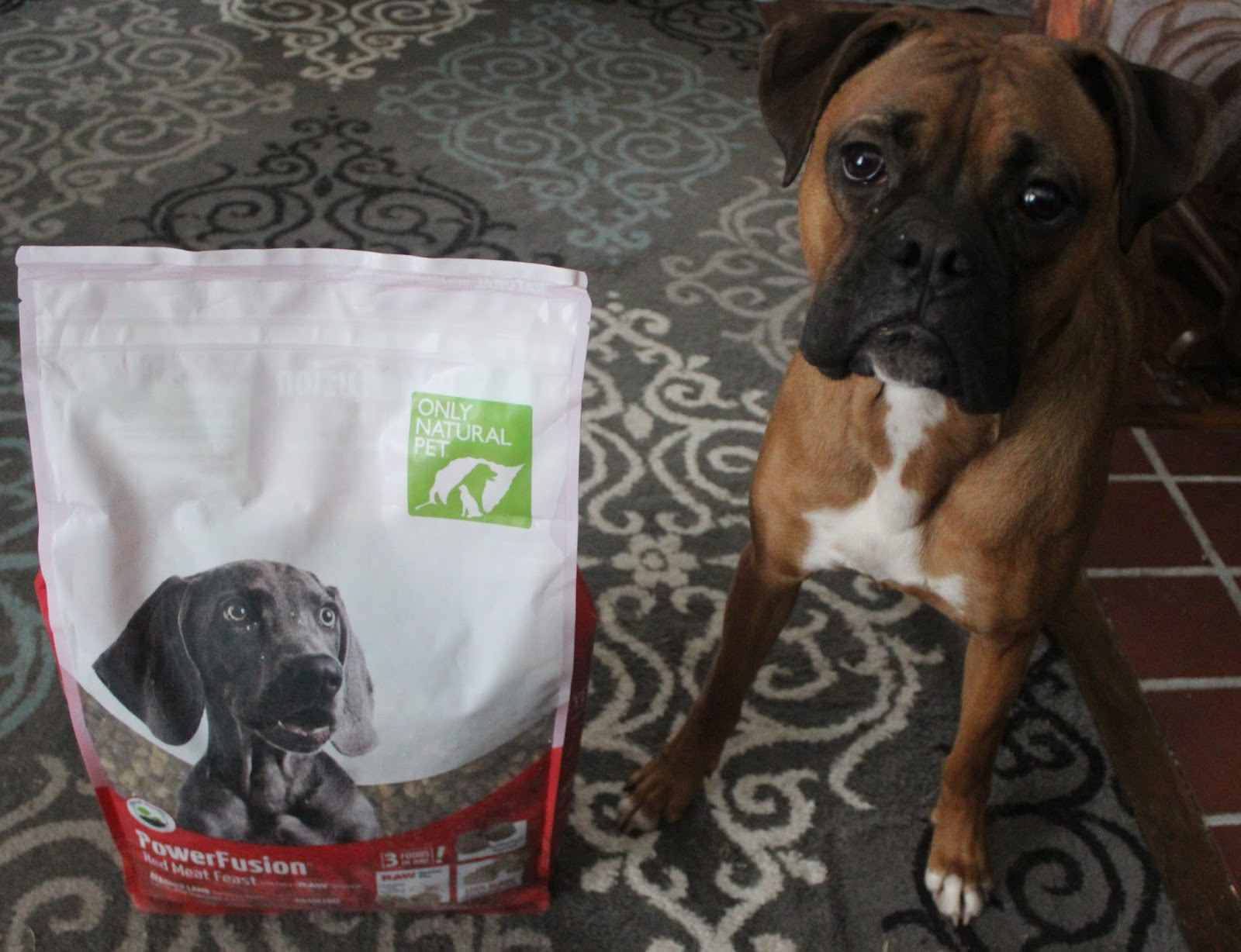Dog Madness PowerFusion Grain Free Raw Infused Dog Food Is Pawesome