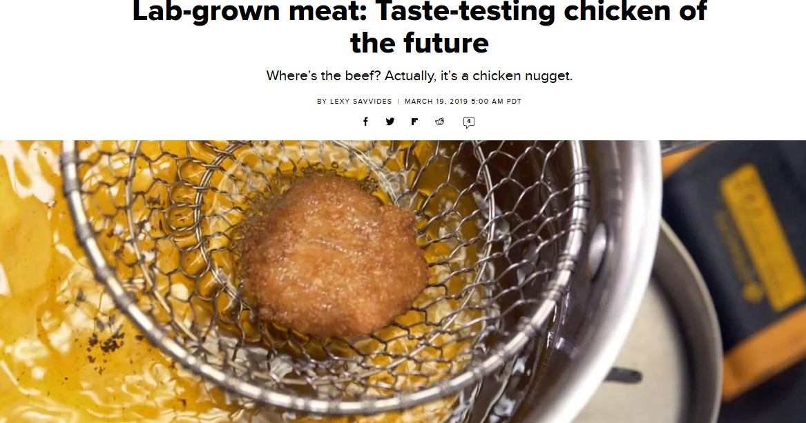 THE WESTERNER Labgrown meat Tastetesting chicken of the future
