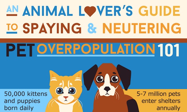 Image: An Animal Lover’s Guide to Spaying and Neutering 
