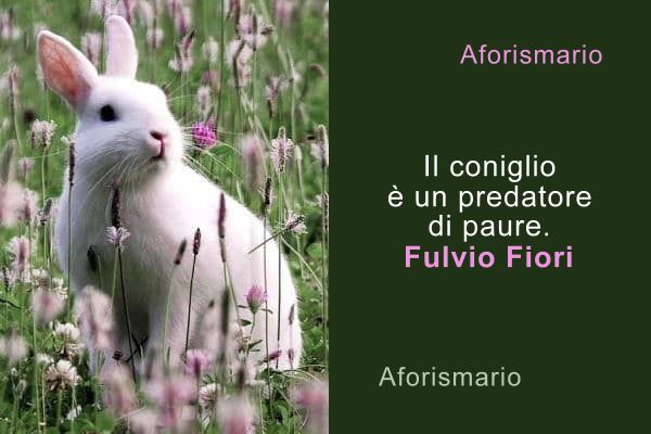 Aforismario Aforismi Frasi E Proverbi Sul Coniglio