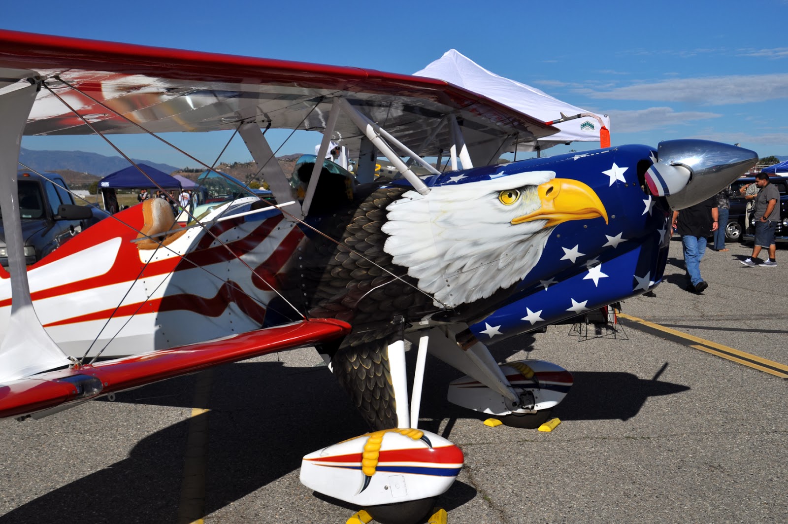 Just A Car Guy cool and clever paint job of an eagle on an airplane...