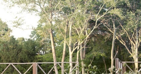 Creative Ideas: Backyard Design Ideas