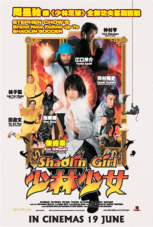 Shaolin Girl 2008 Hindi Dubbed BRRip 480p 300mb