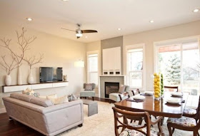 Ideas para decorar, diseñar y mejorar tu casa.: Salas beige