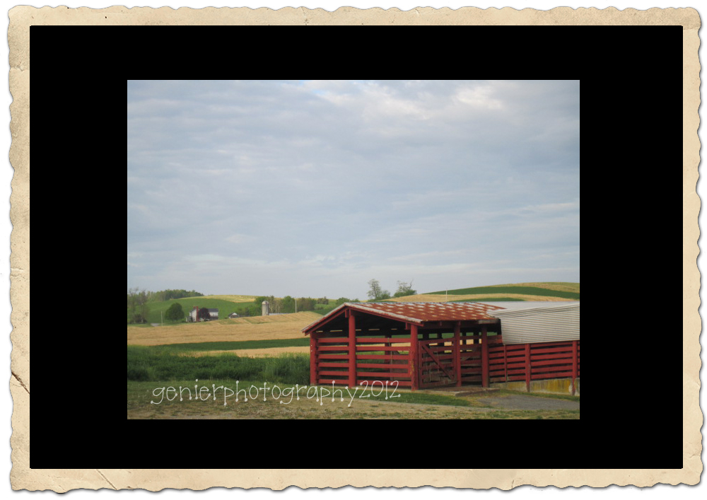 Climbing the Digital Mountain The Swisher Farm Fairfield, Virginia