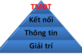Tháp người dùng Internet tại Việt Nam, mô hình để định hướng