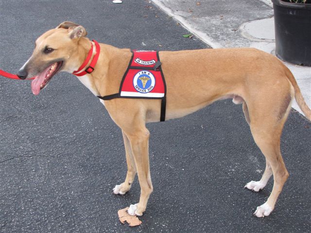 Grey2k Lies May 2012