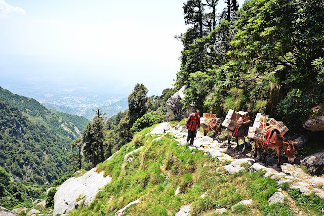 Photo of BF or BFF – Test the love with the Triund trek! 10/19 by Nerdy Adventuress