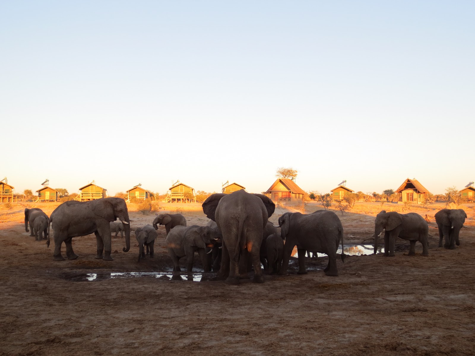 Día 13: De Kasane a Nata. Elephant Sands Lodge - Botswana y Cataratas Victoria. Viaje por libre de 19 dias (1)