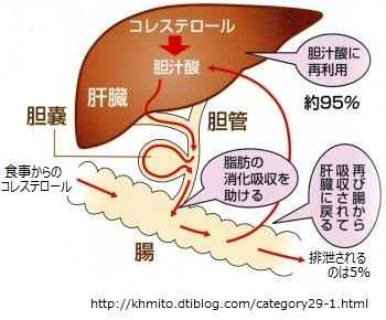 胆汁酸塩とは何ですか?