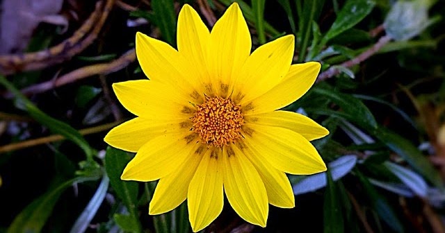 Frasi Per Defunti Per Lapide