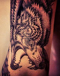 Desenho de lobo tatuado no braço