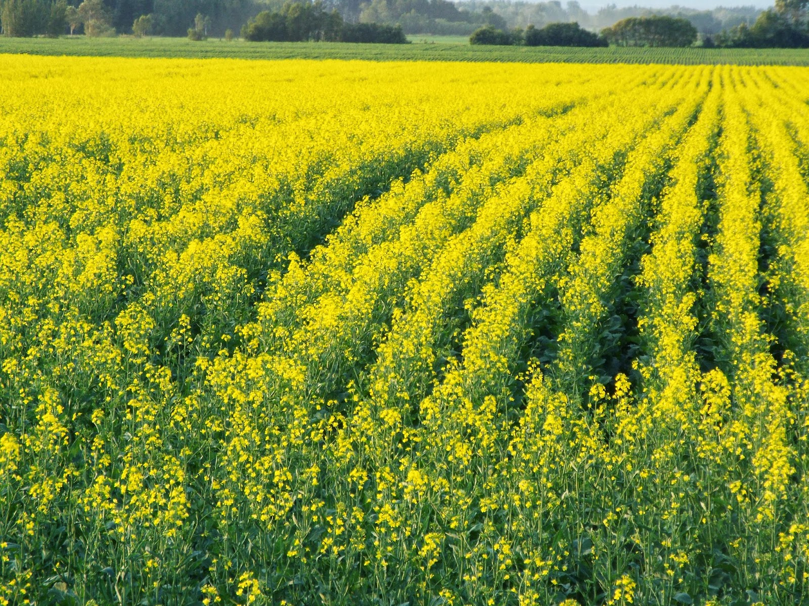 A Drive around Slate River Valley, Thunder Bay, On