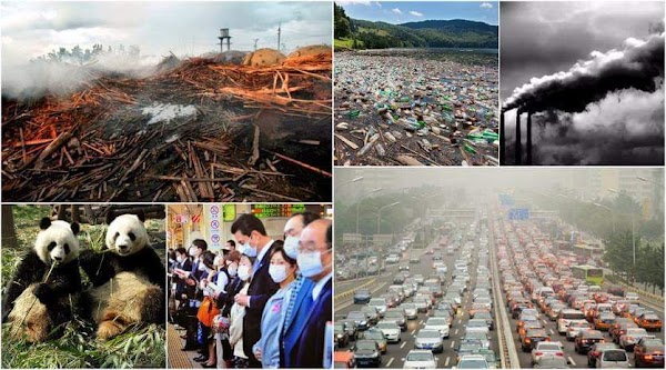 52% de las especies de animales se habran extinguido para el 2050. 52% de las especies de animales se habran extinguido para el 2050.