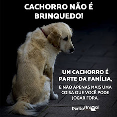 NÃO ABANDONE!!!