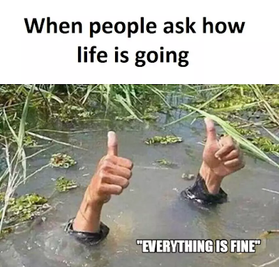 funny memes, Everything is fine