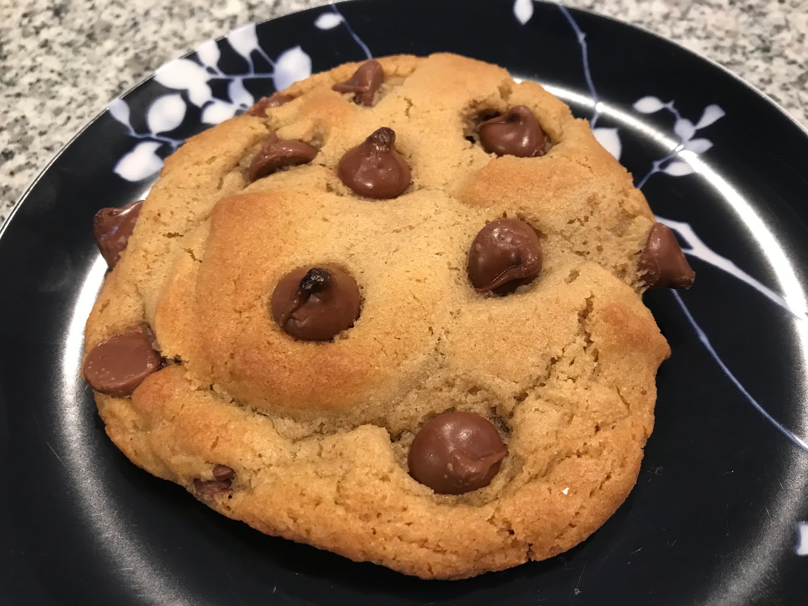 The Pastry Chef's Baking High Altitude Baking with Chocolate Chip Cookies