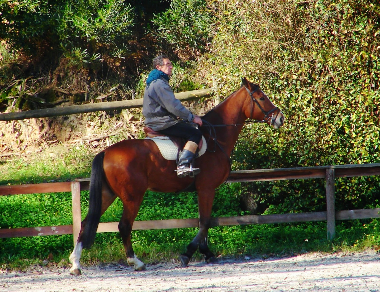 BREATHTAKING The Riding School