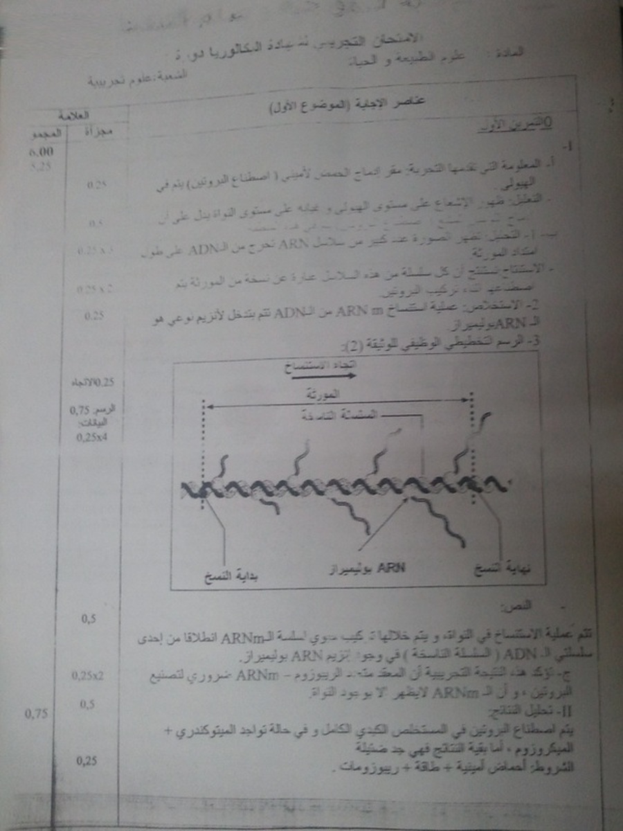 العلوم الطبيعية العلوم الطبيعية