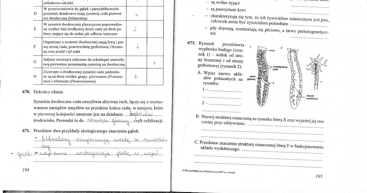 Sprawdzian Z Biologi Klasa 6 Dzial 1 - Biologiczno-Chemiczna