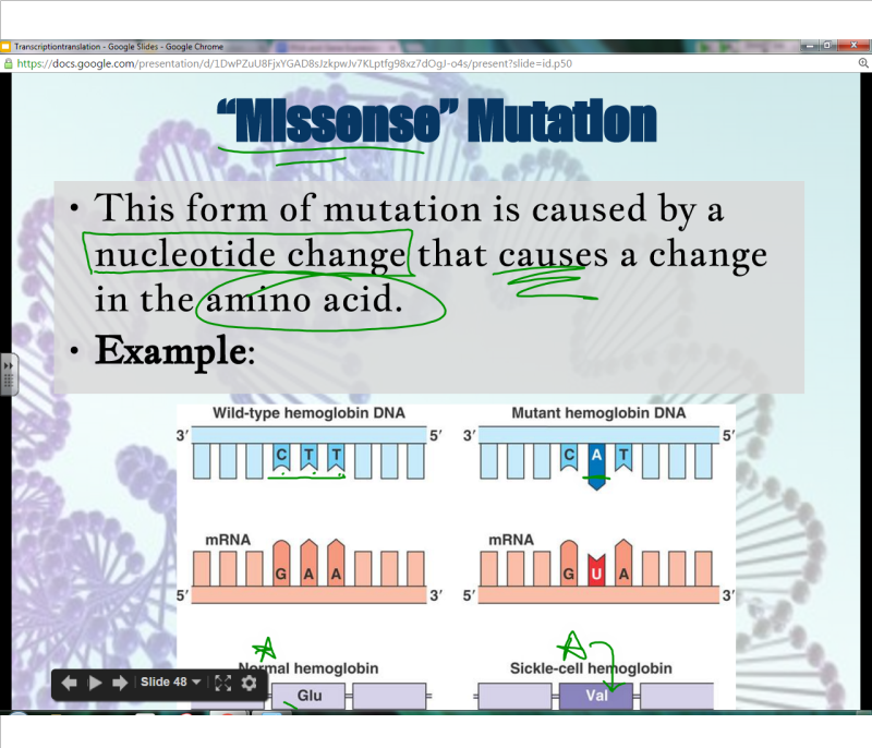 EC Honors Biology Monday March 21st Frameshift and Chromosomal Mutations
