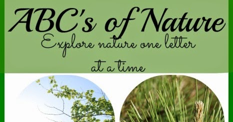 Nature ABC's | Snippets