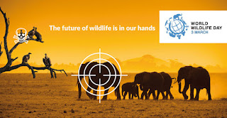 UN World Wildlife Day