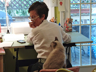 elser anne assistant studio posted am