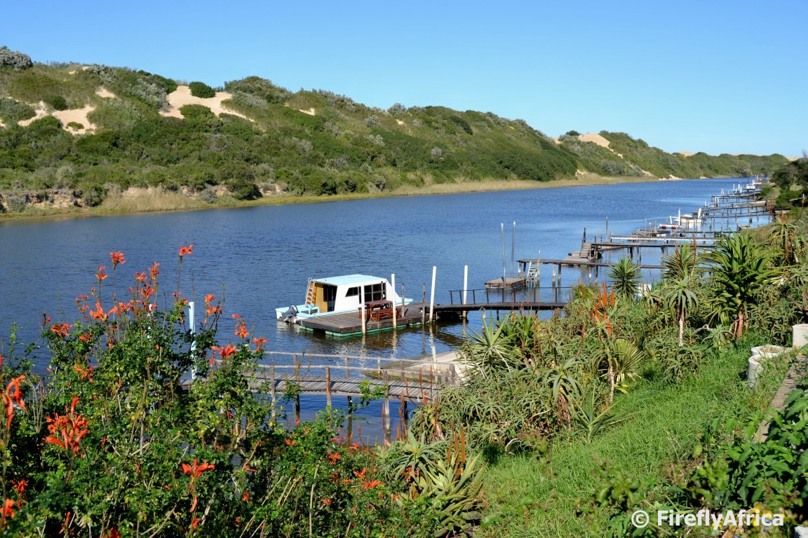 Port Elizabeth Daily Photo Lazy days on the Sundays River