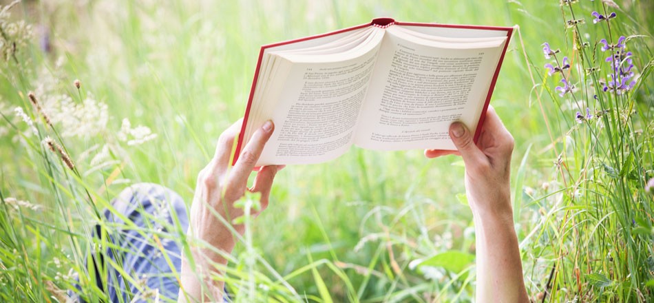 Лето с книгой картинки