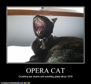 The Operacats: Other operacats (lol-cats)