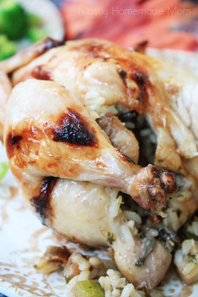 AD Fruit and Wild Rice Stuffed Cornish Hens Mostly Homemade Mom