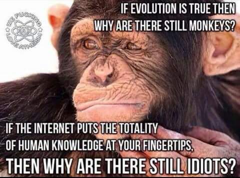 [Image: why%2Bare%2Bthere%2BIDiots.jpg]