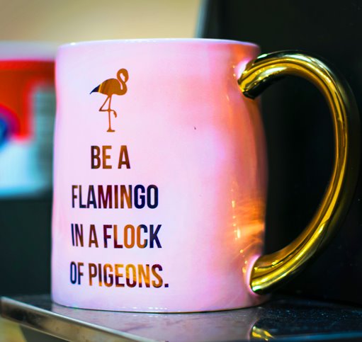 be a flamingo in a flock of pigeons