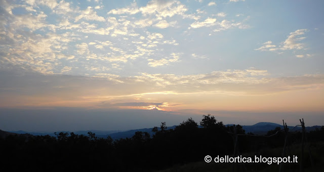 giorni fiore foglia radice frutto calendario lunare 2019 la luna nella fattoria didattica dell ortica a Savigno Valsamoggia Bologna in Appennino vicino Zocca