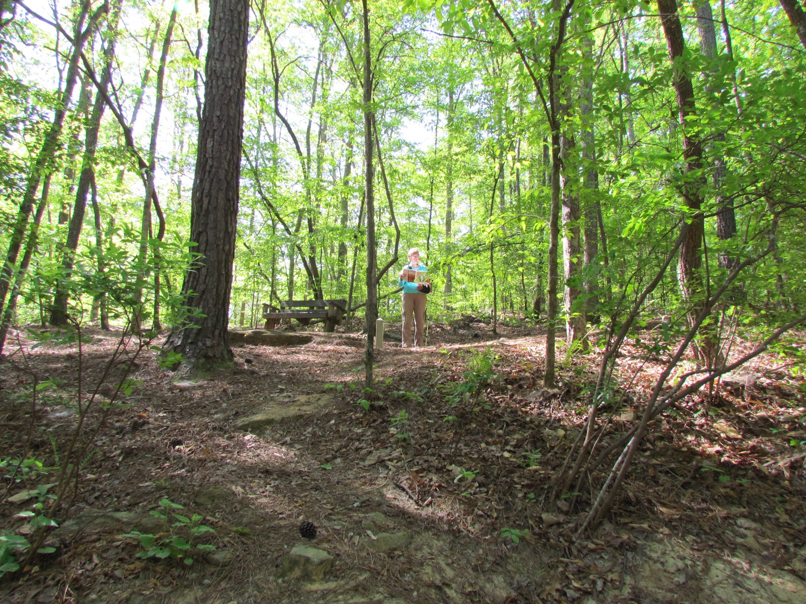 Pygmy Puffs and Heffalumps Hiking at Pickett's Mill