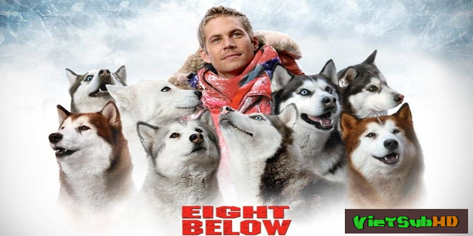 Phim Những Chú Chó Dũng Cảm VietSub HD | Eight Below 2006