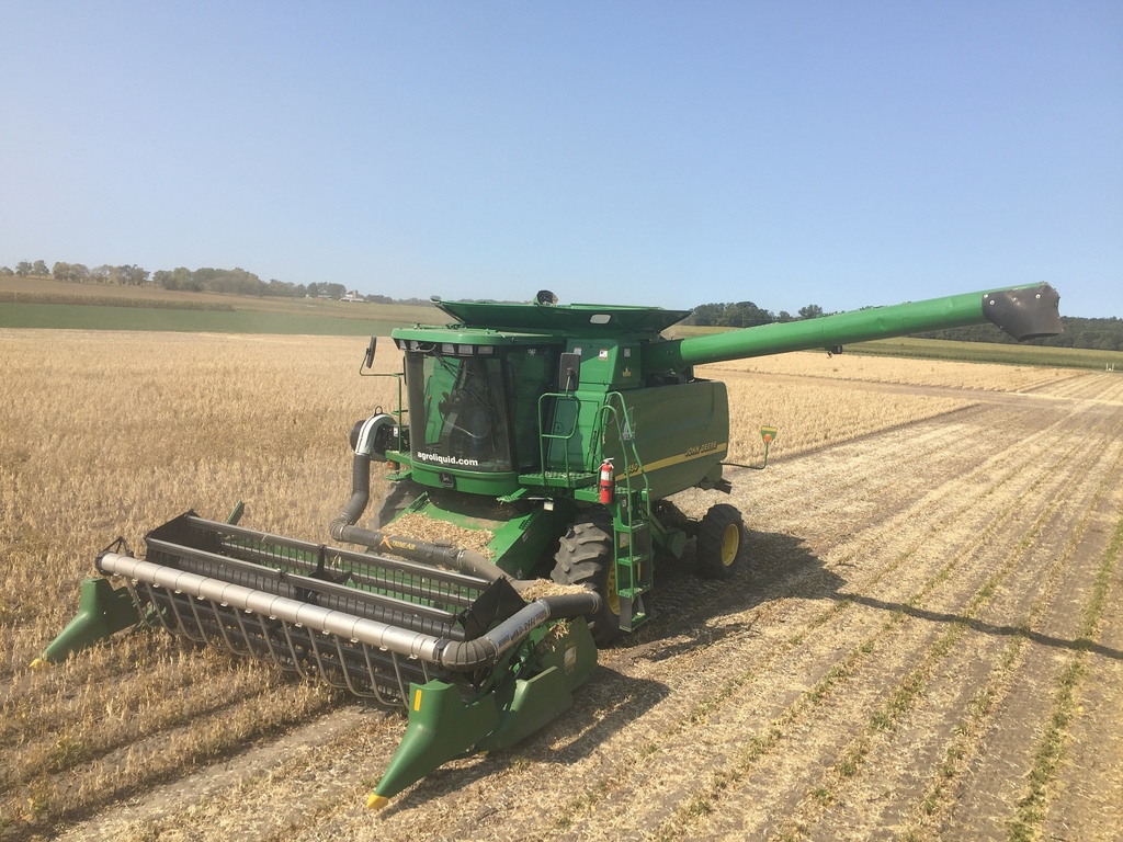 Land of LIQUID All Hands on Deck. Navy Bean Harvest!