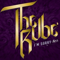 I'M SORRY สีดา COVER