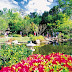 3 Places on the Gold Coast Where you can Enjoy Summer Year Round